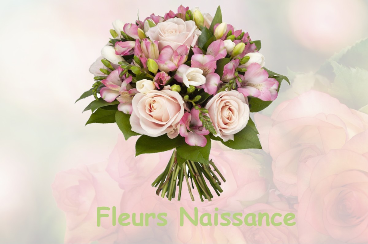 fleurs naissance SEUIL-D-ARGONNE