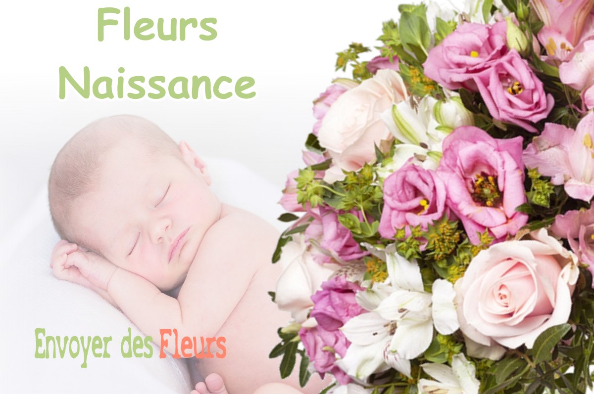 lIVRAISON FLEURS NAISSANCE à SEUIL-D-ARGONNE